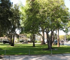 Carroll Prk Long Beach neighborhoods