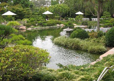 japanese garden long beach pond 
